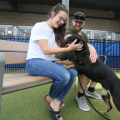 Ensuring Animal Welfare in Waco, TX